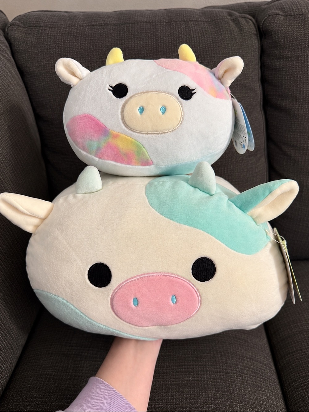 Squishmallows Caedia & Belana Cow Stackable Bundle 8" & 12"